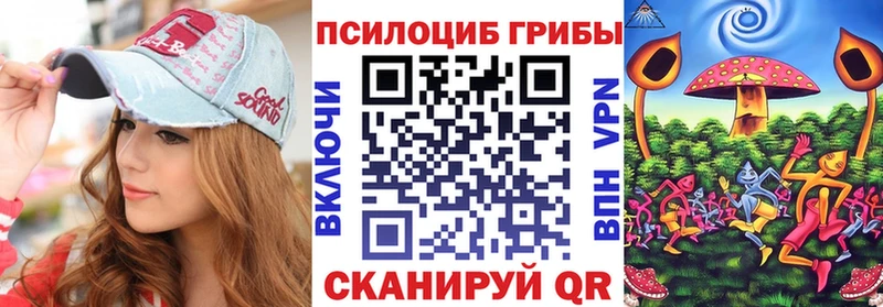 Купить где  Котлас  Псилоцибиновые грибы мицелий 